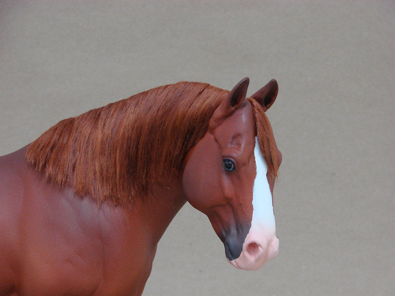 Cavalo Marrom